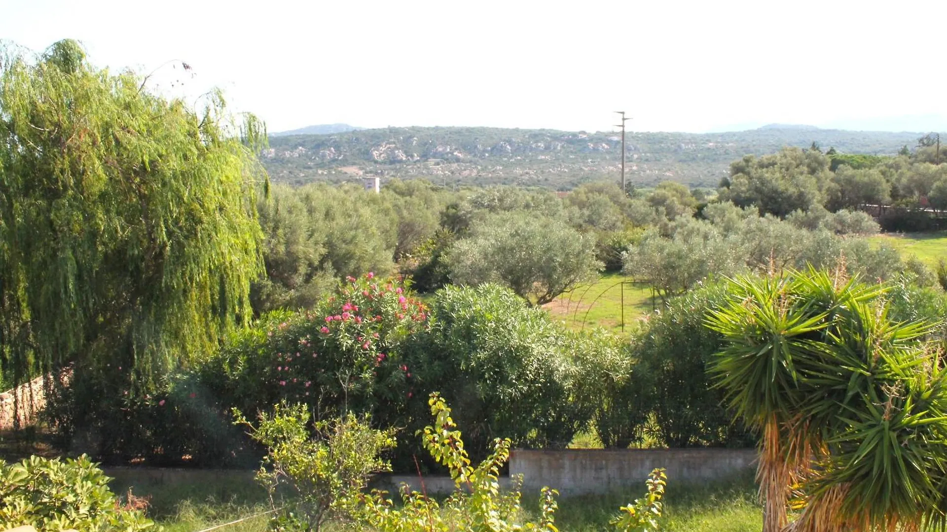 Villa Rosa Con Piscina E Giardino Uso Esclusivo Porto Rotondo