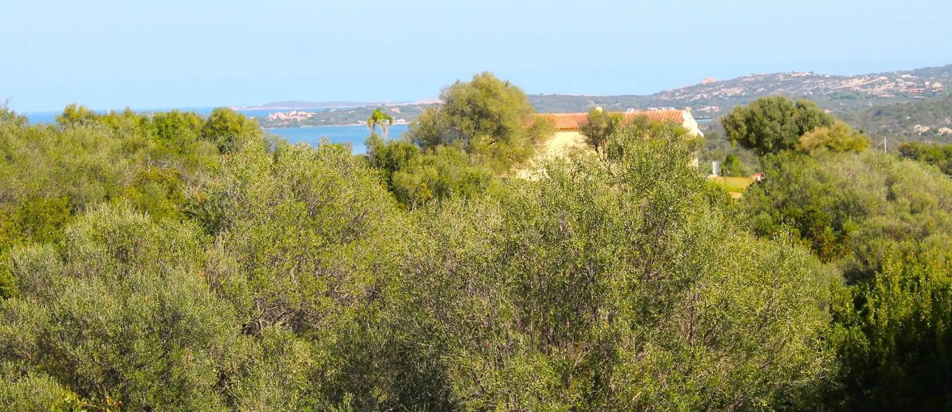 Villa Rosa Con Piscina E Giardino Uso Esclusivo Porto Rotondo