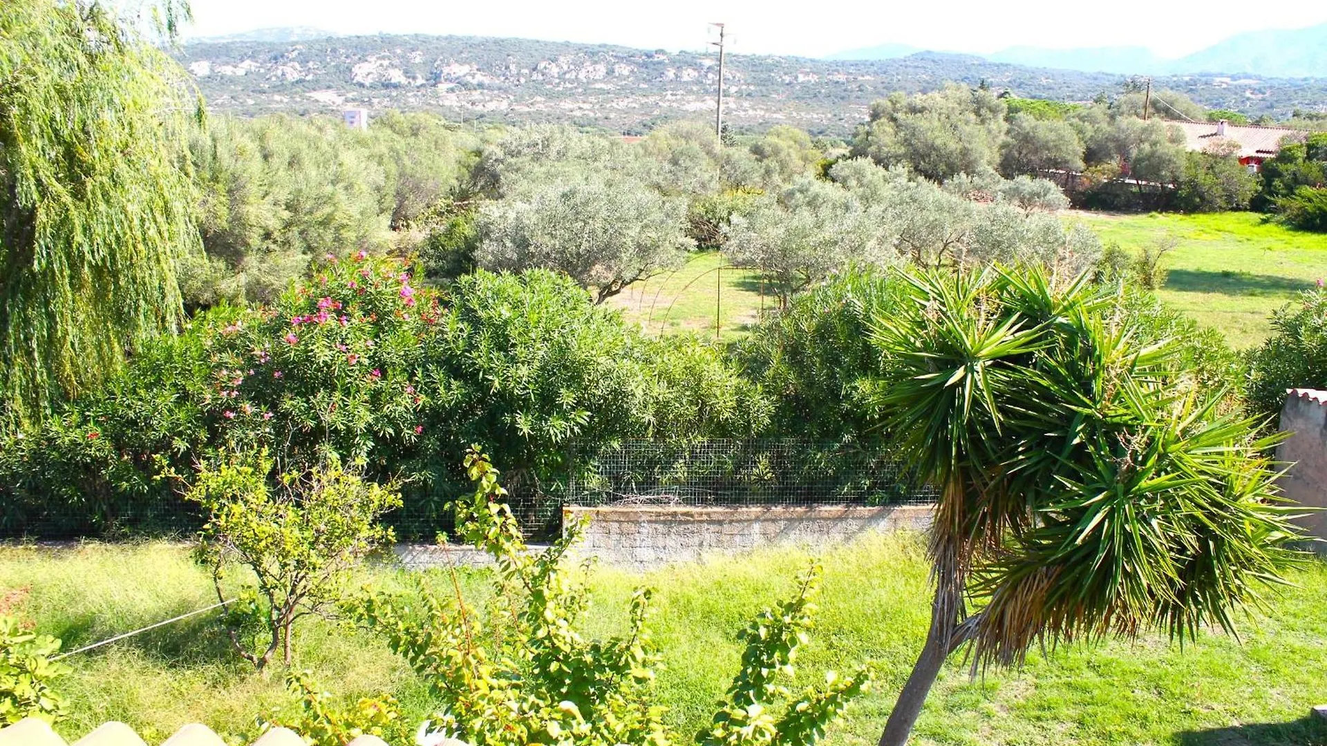 Villa Rosa Con Piscina E Giardino Uso Esclusivo Porto Rotondo