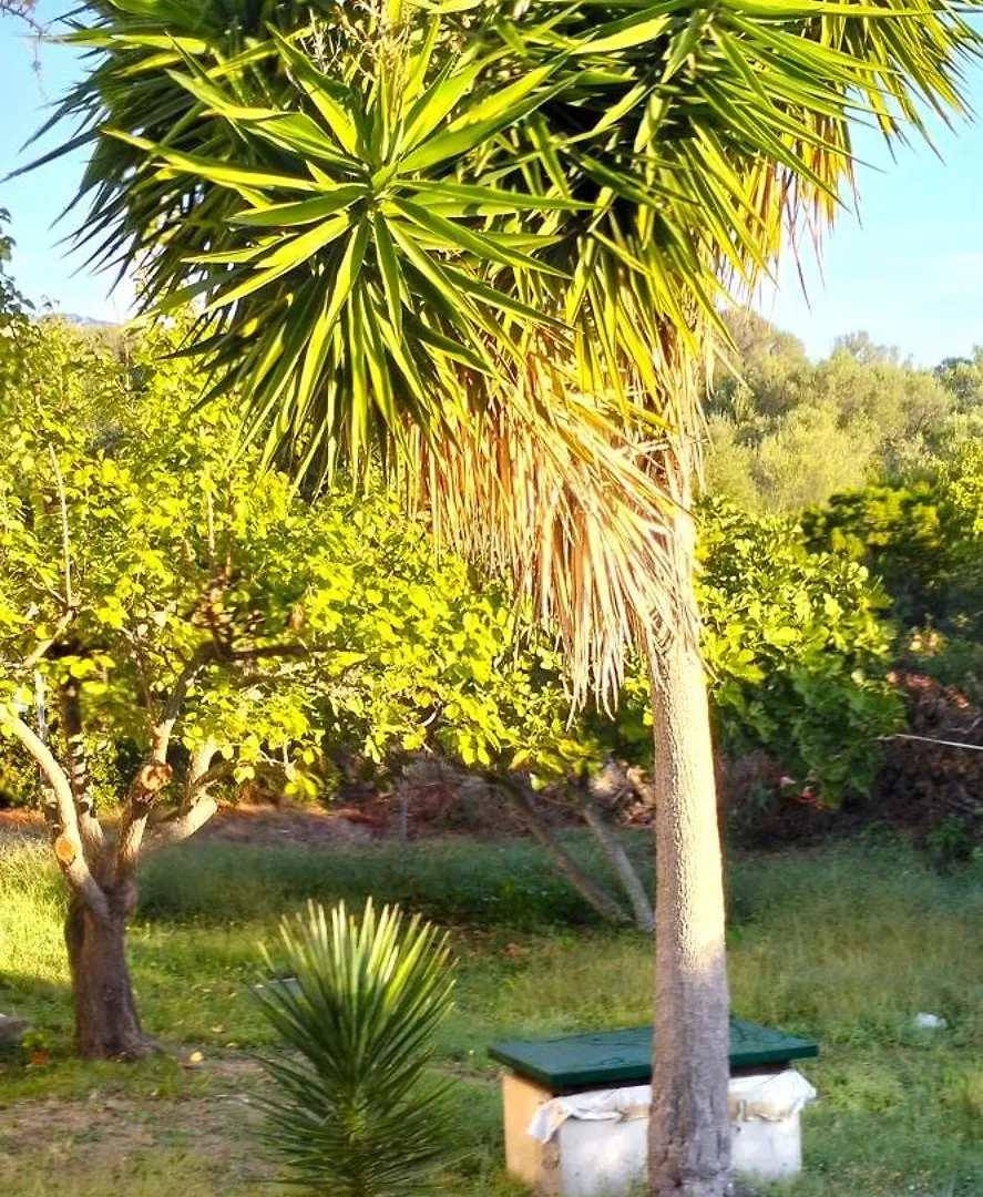 Villa Rosa Con Piscina E Giardino Uso Esclusivo Porto Rotondo 0*,  Italy