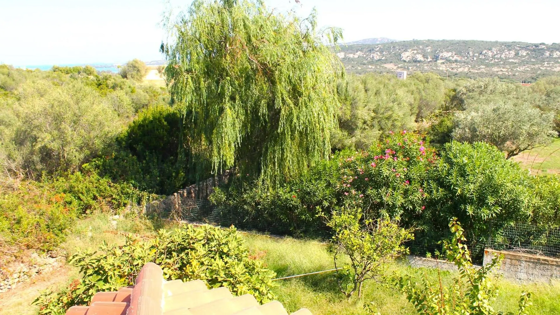 Villa Rosa Con Piscina E Giardino Uso Esclusivo Porto Rotondo
